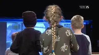 CULTURE - Visions du R&eacute;el