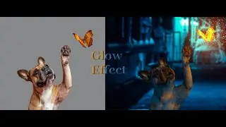 Photoshop Magic: Dog & Butterfly Fantasy Manipulation Tutorial