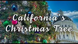 California's Christmas Tree
