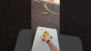 McDonalds Smash Burger: Food Hack - Fist Vs. #mcdonalds #burger #smash #crushing #destruction #vs