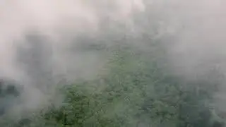 Puisi 