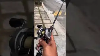 Love this sound😍😍Shimano Calcutta Conquest x Shimano Zodias