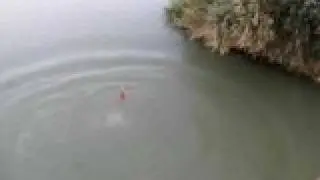 Euphrates Jump