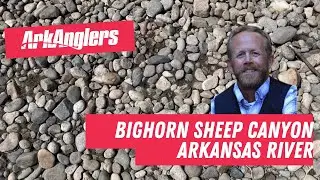 ArkAnglers Arkansas River Fishing Report from Bighorn Sheep Canyon - Caddis are Coming!