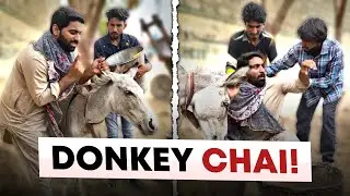Donkey Chai &bull; Gadhy Ki Doodh Ki Chai