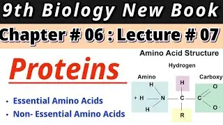 Proteins Structure| Structure of Amino Acids| Types of Amino Acids| 9th Biology New Book| Chap # 6