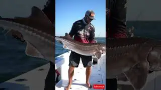 Full Day on the Fishing Boat in 4K Ultra HD &ndash; A Must-Watch for Fishing Lovers!