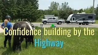 This horse would spook by the highway, now....