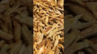 Surprising facts 😯 that you don't know about Cumin seeds #shorts #youtubeshorts #viral #trending