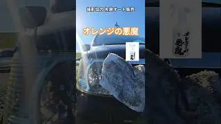 黄ばみがトロけるオレンジの悪魔(500ml) メルカリで販売中