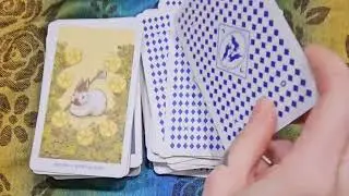 Luna Lapin Tarot and Oracle Set Flipthrough by Cassie-Lou Distraction