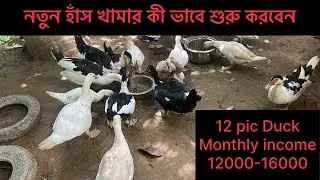 12 pic হাঁস দিয়া মাসে ইনকাম -12000-16000