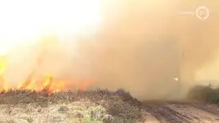 VIDEO: Brand op Ginkelse Heide geblust