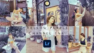 How to edit photo Yellow with Purple lightroom mobile Free Preset DNG | Preset purple 100%