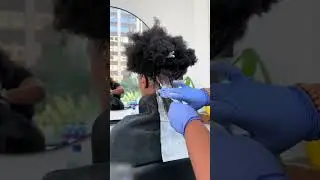 Going Cinnamon Brown without bleach#shorts  #hairstyle #curlyhair #naturalhair #fypシ゚viral
