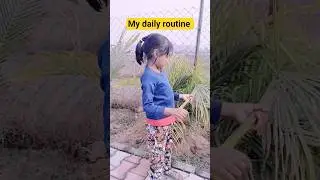 Choti Boss #shorts #youtubeshorts #viralshorts #viral #trending #strange #comedy #funny