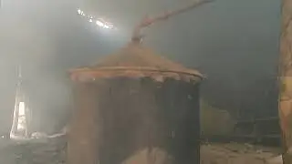 Making of Nilgiri Eucalyptus oil