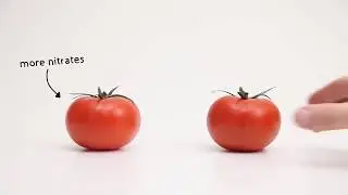 Greentest Food Chemical Detector