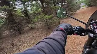 Woods in Rural New Jersey, a motorcycle ride and a cemetery.