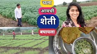 आज आमचं शेत बघायला चला माझ्यासोबत | हिरवीगार शेतं  | भोपळ्याच्या चाकोऱ्या |  Marathi Vlog