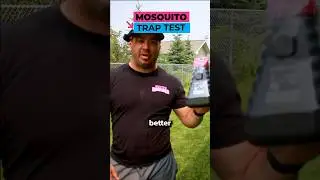 Do Mosquito Traps Work?