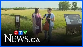 Theme days at Living Prairie Museum