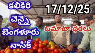 కలికిరి చెన్నై బెంగళూరు నాసిక్ మార్కెట్లో టమోటా ధరలు | today Tomato rate Bangalore market Chennai 