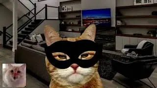 Billie Eilish - Bad Guy  Cat Cover