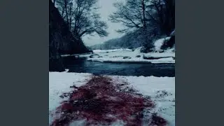 Bleed Out At Cold Night