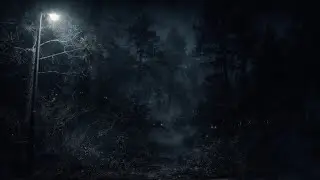 SCARY HAUNTED WOODS IN NORTH CAROLINA!