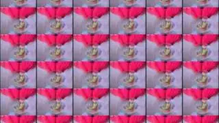 H.B.O.M.B.  The Video