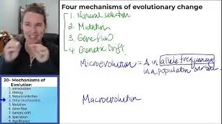 Механизм Evol 4 - Другие механизмы