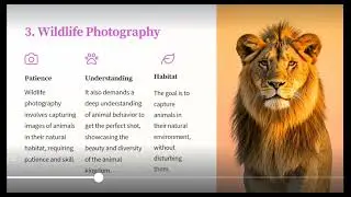 Introduction to Photography &ndash; Types, Emerging Types of Photography & Notable Photographers