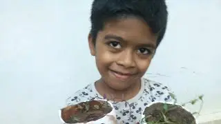 DIY |Gardening | Garden making  | cocunut shell reuse idea | Aadisworld |12 December 2020