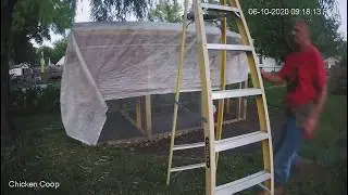Chicken Coop with run, Day 17