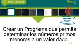 ciclo for -- java(numeros primos)