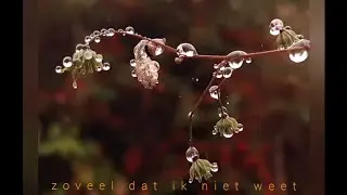 Zoveel dat ik niet weet - Fenna Beets 