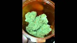 Afgoo kush