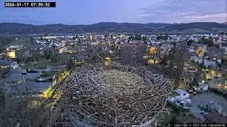 Kirchzarten 17. Jan. 2026, 7:38 Uhr - Ulla holt Edgar zur&uuml;ck ins Nest