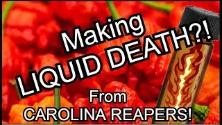 Making 10 Million Scovile Extract from Carolina Reapers!