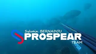 chasse sous marine sur le bassin D'ARCACHON avec Sylvain BERNADOU team PROSPEAR  (maigre 15kg)