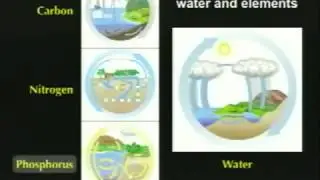Lecture 10. Paleoecology (Biology 1B, Fall 2010, UC Berkeley)
