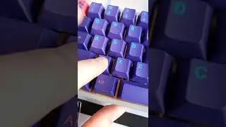 Otemu Silent Linear stem x TKC Tangerine Sound Test