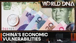 China's economic vulnerabilities: Rising local government debt | WION World DNA