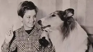 Lassie stunts ep 22 Various tricks 2