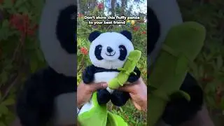 Это самая милая плюшевая панда на свете? 🐼💘