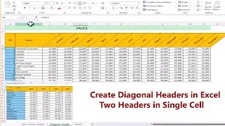 Create Diagonal Headers in Excel | Split a Cell | Two Headers in Single Cell