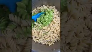 how to deal with vegan haters