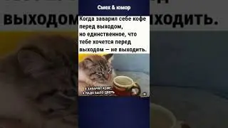 #юмор #смехпродлеваетжизнь #шуткадня #мем