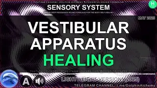 🌠 VERTIGO ERASER: Transform Your Vestibular Health in 1 Session! 🚀⚡ Powerful Subliminal Sound